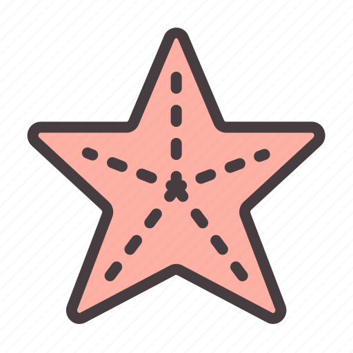 Beach, holiday, sand, sea, star, summer, travel icon - Download on Iconfinder
