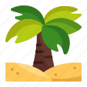 palm, tropical, tree, coconut, vacation