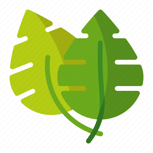 Tropical, monstera, plant, leaf icon - Download on Iconfinder