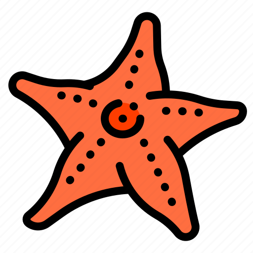 Asteroidea, sea, star, starfish icon - Download on Iconfinder