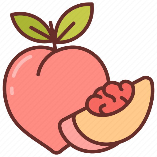 Peaches, apricot, juicy, fruit, stone, vitamin, c icon - Download on Iconfinder