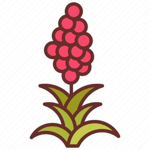 Quinoa, nutrition, meal, agriculture, plant icon - Download on Iconfinder