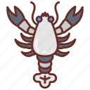 lobster, spiny, shrimp, crab, prawn, crayfish