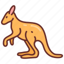 kangaroo, wildlife, animal, zoo, wild