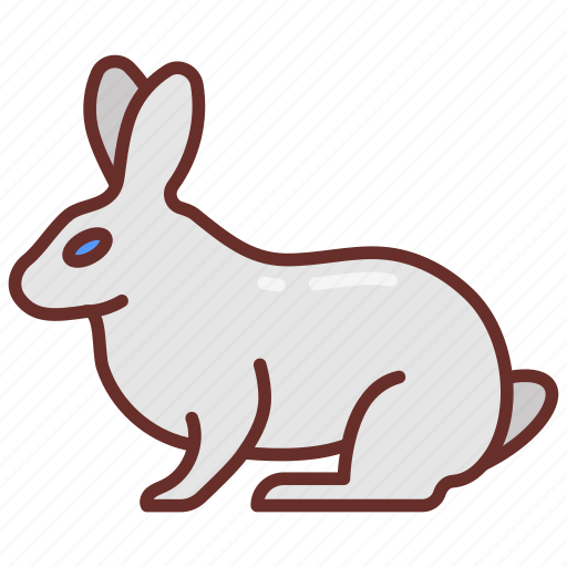 Rabbit, bunny, hare, jackrabbit, cottontail icon - Download on Iconfinder