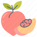 peaches, apricot, juicy, fruit, stone, vitamin, c