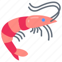 shrimp, sea, food, prawn, crayfish, fish