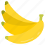 bananas, banana, bunch, dozen, fruit, healthy, food, eating 