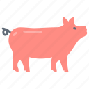 pork, swine, pig, pigmeat, ham
