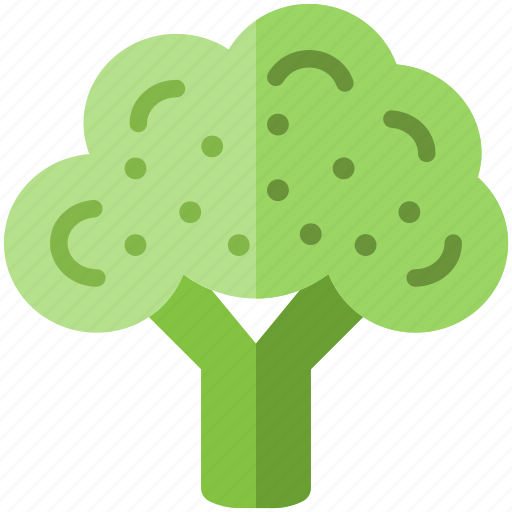 Broccoli, calabrese, cauliflower, head, sprout, sprouting, supermarket icon - Download on Iconfinder