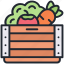 vegetable, box, vegetable box, basket, fruit, harvest, fresh 