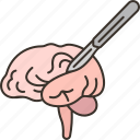 neurosurgeon, brain, surgery, treatment, diagnosis