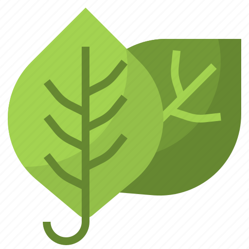 Botanical, garden, leaf, leaves, nature, plant icon - Download on Iconfinder