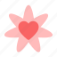 heart, valentine, craft, flower, romance 