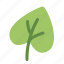 leaf, eco, green, natural, herb, plant 