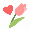 valentines, tulip, flower, floral, love, present