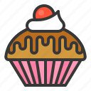 cup cake, dessert, food, muffin, sweets