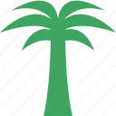 palmtree, travel, tree, tropical, vacation