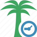 clock, palmtree, travel, tree, tropical, vacation