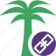 link, palmtree, travel, tree, tropical, vacation 