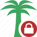 lock, palmtree, travel, tree, tropical, vacation