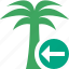 palmtree, previous, travel, tree, tropical, vacation 