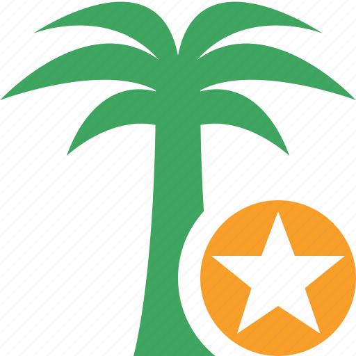 Palmtree, star, travel, tree, tropical, vacation icon - Download on Iconfinder