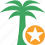 palmtree, star, travel, tree, tropical, vacation 