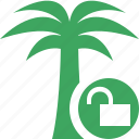 palmtree, travel, tree, tropical, unlock, vacation