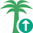palmtree, travel, tree, tropical, upload, vacation