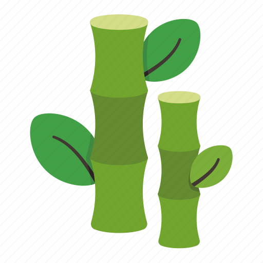 Bamboo, plant, botanical, nature, leaf icon - Download on Iconfinder