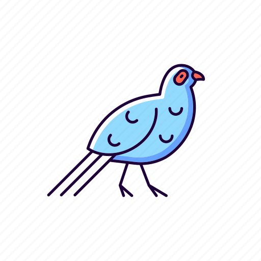 Taiwan, bird, wildlife, feather, exotic icon - Download on Iconfinder