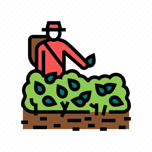 Harvest, tea, drink, production, growth, plantation icon - Download on Iconfinder