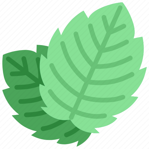 Mint, leaf, green, organic, fresh, peppermint, herb icon - Download on Iconfinder