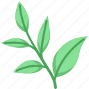 leaf, nature, herbal, healthy, growth, natural, antioxidant, fresh, green tea