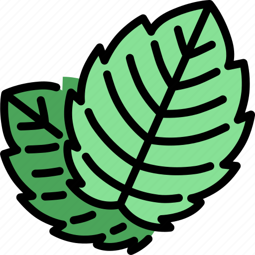 Mint, leaf, green, organic, fresh, peppermint, herb icon - Download on Iconfinder