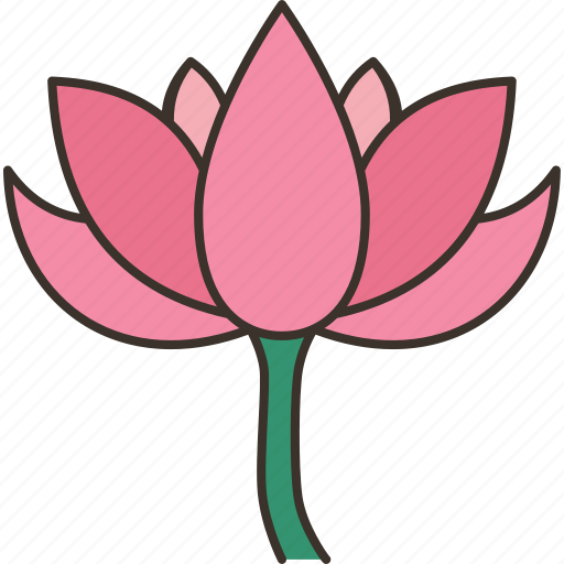 Lotus, flower, waterlily, pond, plant icon - Download on Iconfinder