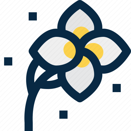 Blossom, floral, flower, plant, plumeria, thailand, tropical icon - Download on Iconfinder