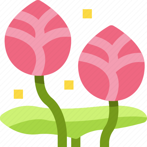 Blossom, floral, flower, lotus, nature, plant, thailand icon - Download on Iconfinder