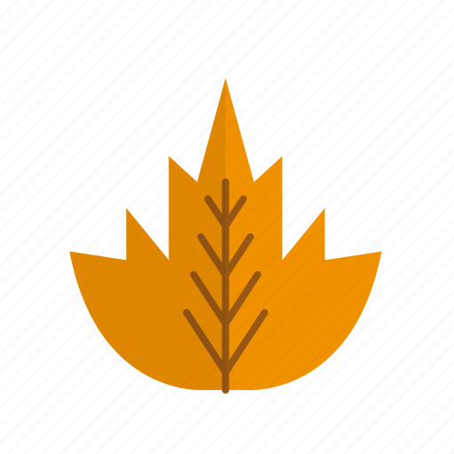 Maple, leaf, nature, autumn, autumn leaf, plant, fall icon - Download on Iconfinder
