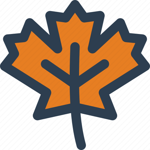 Maple, leaf, nature, ecology icon - Download on Iconfinder