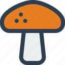 mushroom, vegetable