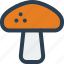 mushroom, vegetable 
