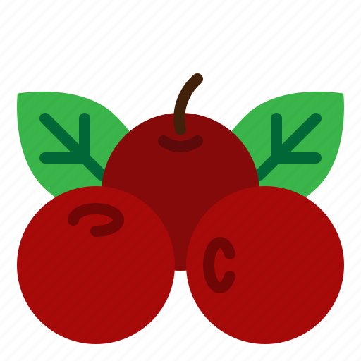 Berries, cranberries, fruit, red icon - Download on Iconfinder