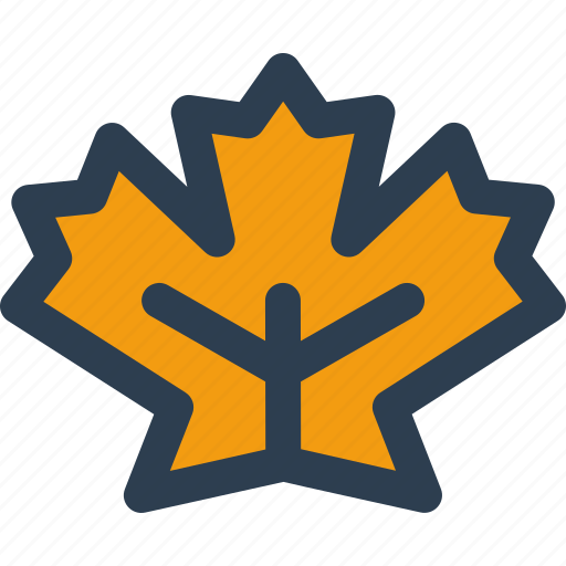Maple, leaf, nature, autumn icon - Download on Iconfinder