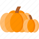 thanksgiving, pumpkin, holiday