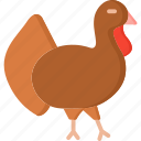 thanksgiving, chicken