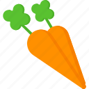 thanksgiving, carrot, vegetable