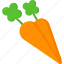 thanksgiving, carrot, vegetable 