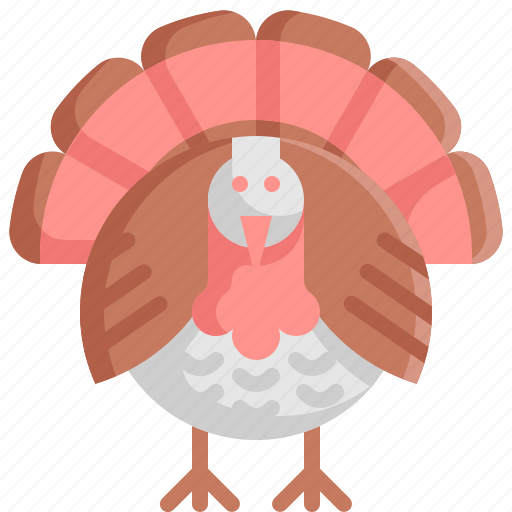 Animal, bird, chicken, thanksgiving, turkey icon - Download on Iconfinder
